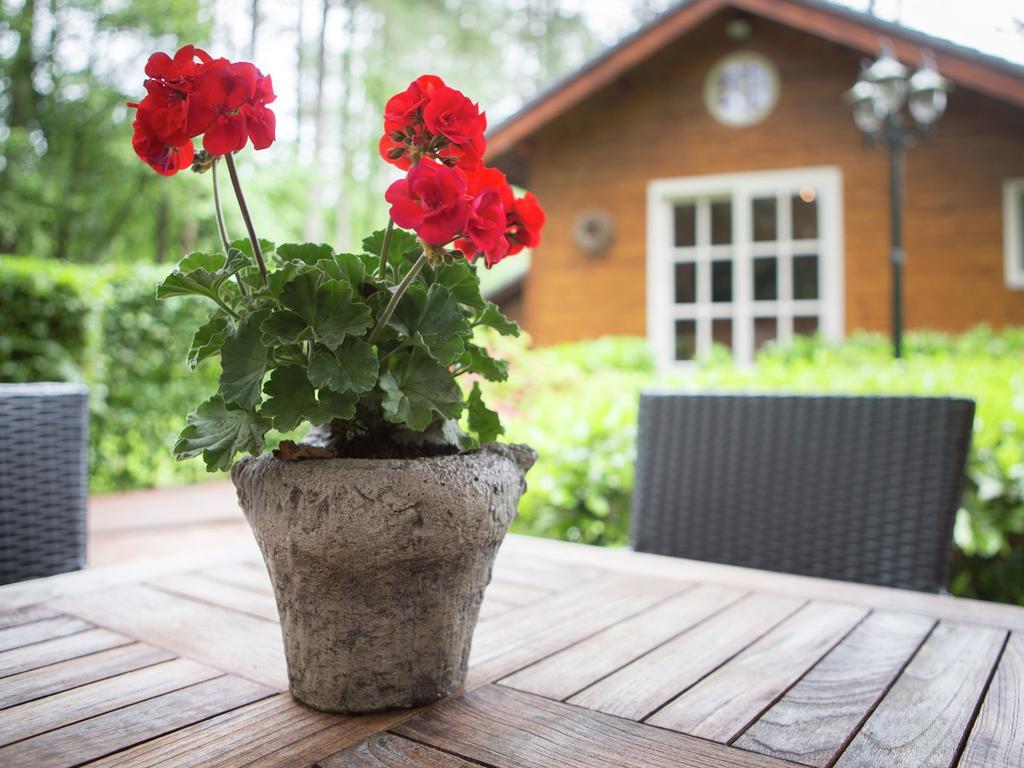 Luxurious Chalet In Oud Turnhout With Large Garden Vila Oud-Turnhout Exterior foto