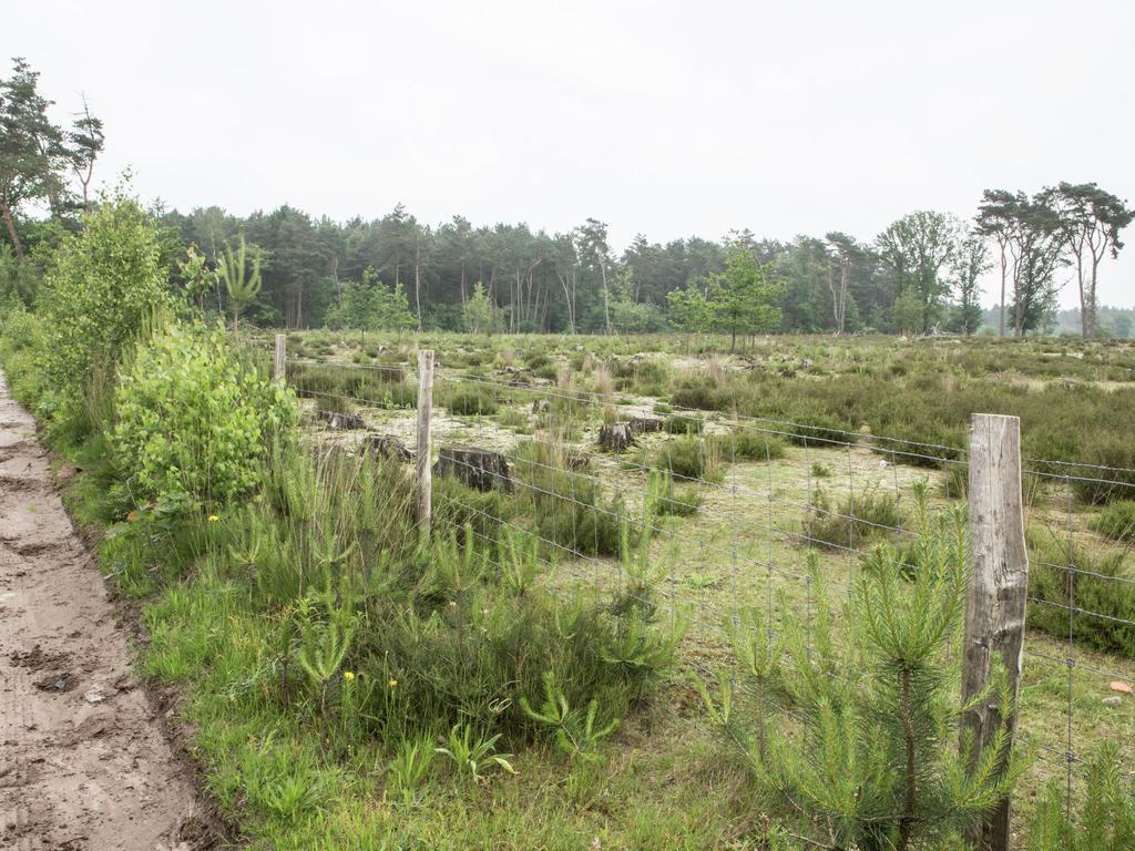 Luxurious Chalet In Oud Turnhout With Large Garden Vila Oud-Turnhout Exterior foto